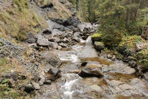Wanderung Alpnach - Polenweg - First