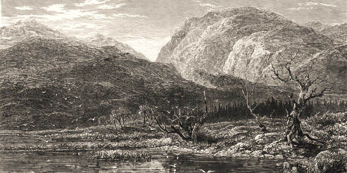 Nan Shepherds grossartige Naturpoesie