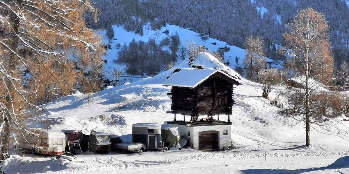 Da lachen sogar die Mäuse