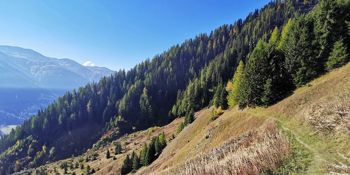 Viel Sonne und Aussicht gibt es auf dem Weg vom Bächital zum Selkigerchäller.