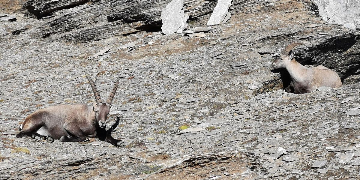 Zur richtigen Zeit am richtigen Ort